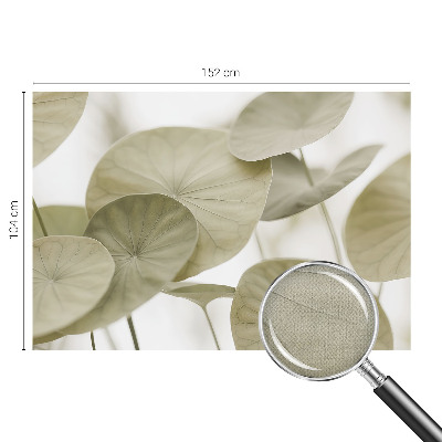 Fototapeta Prirodna elegancija