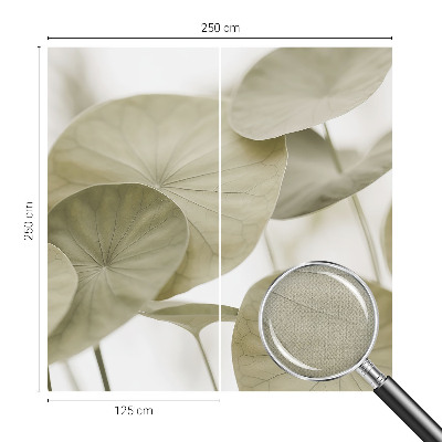 Fototapeta Prirodna elegancija