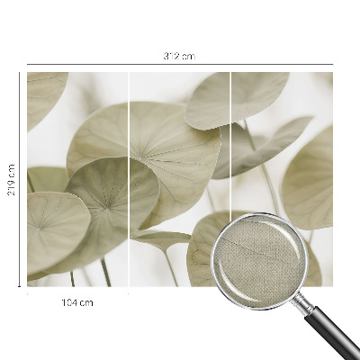 Fototapeta Prirodna elegancija