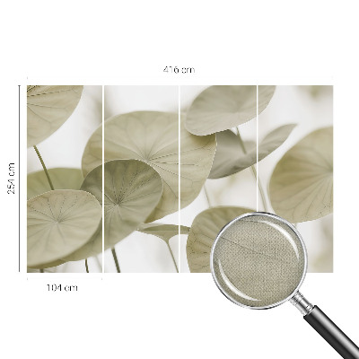 Fototapeta Prirodna elegancija
