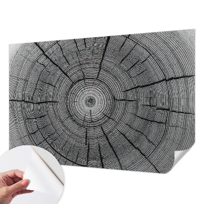 Samoljepljiva fototapeta s motivom 'Šumska harmonija'