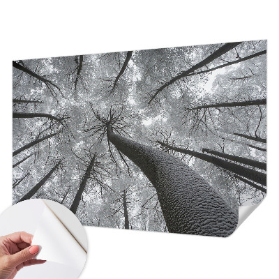 Samoljepljiva fototapeta za spavaću sobu sa motivom zimskog krajolika