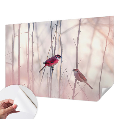 Foto tapeta s motivom ptičjeg para
