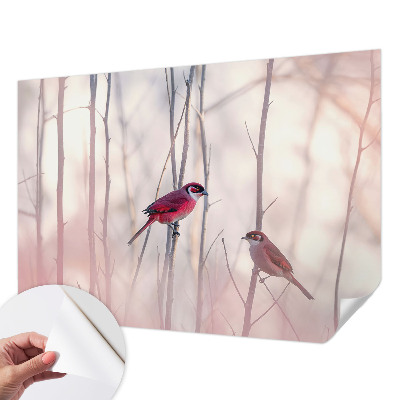 Foto tapeta s motivom ptičjeg para