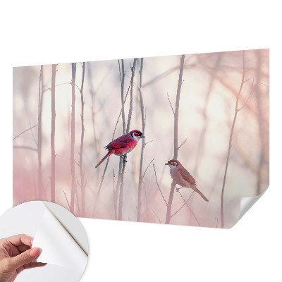 Foto tapeta s motivom ptičjeg para