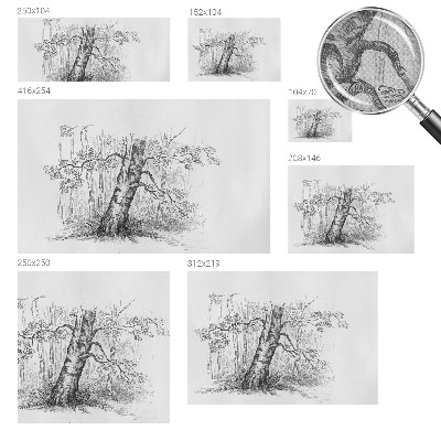 Samoljepljiva fototapeta Šumsko drvo