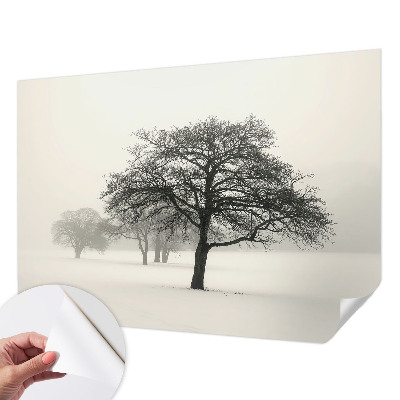 Dječja foto tapeta Zimsko drveće