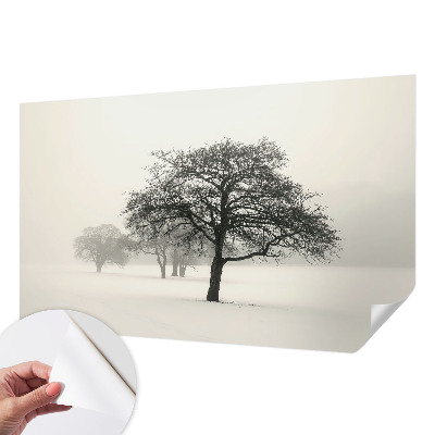 Dječja foto tapeta Zimsko drveće