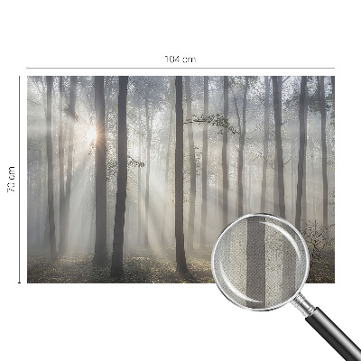Fototapeta Eterična šuma