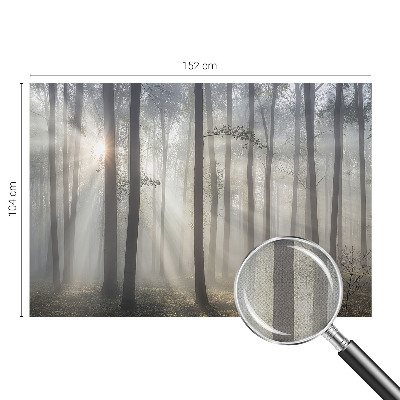 Fototapeta Eterična šuma