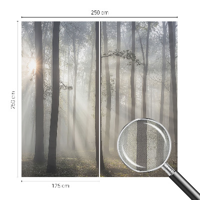 Fototapeta Eterična šuma