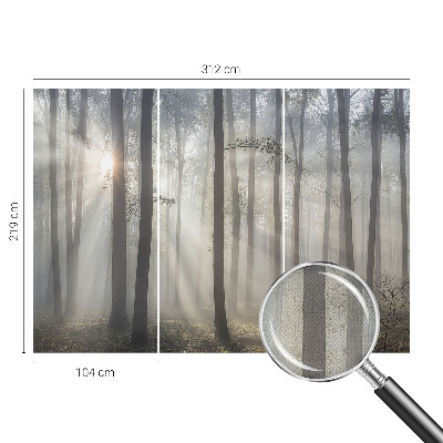 Fototapeta Eterična šuma