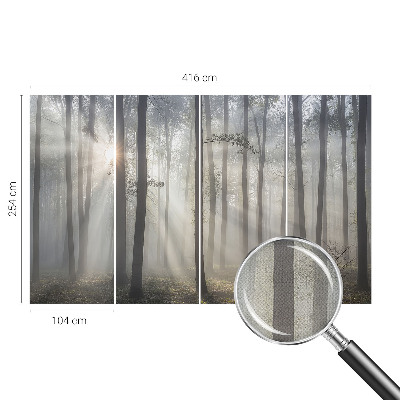 Fototapeta Eterična šuma