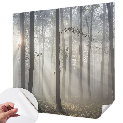 Fototapeta Eterična šuma