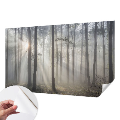 Fototapeta Eterična šuma