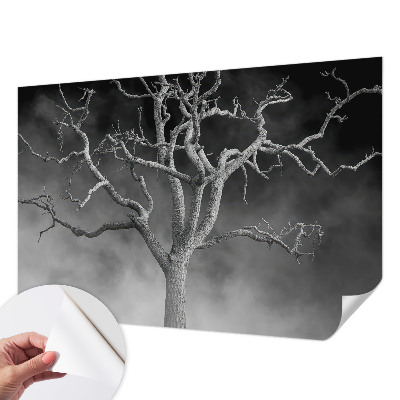 Samoljepljiva fototapeta Maglovito drvo