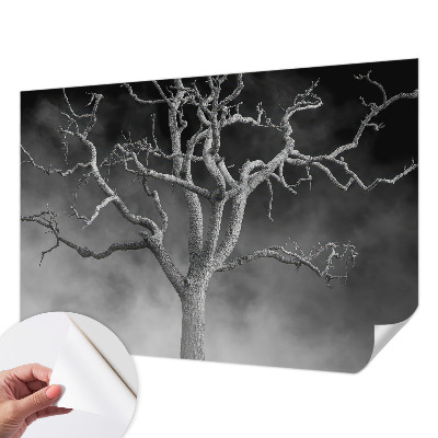 Samoljepljiva fototapeta Maglovito drvo