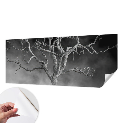 Samoljepljiva fototapeta Maglovito drvo