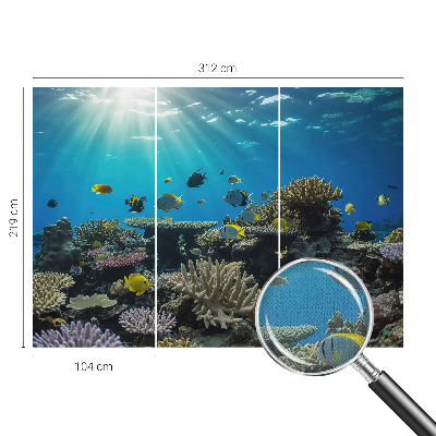 Samoljepljiva foto tapeta Podvodni svijet