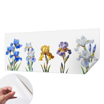 Dječja fototapeta Cvjetovi perunika