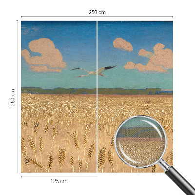 Fototapeta Pšenično polje