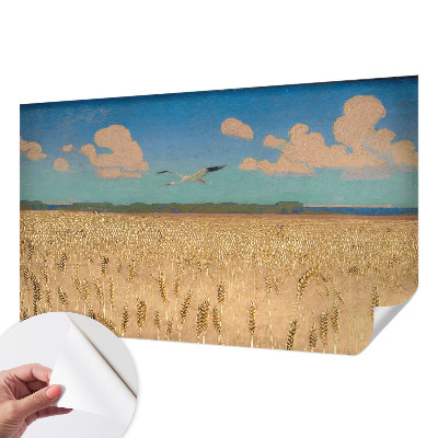 Fototapeta Pšenično polje