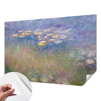 Foto tapeta za dječju sobu Lopoči