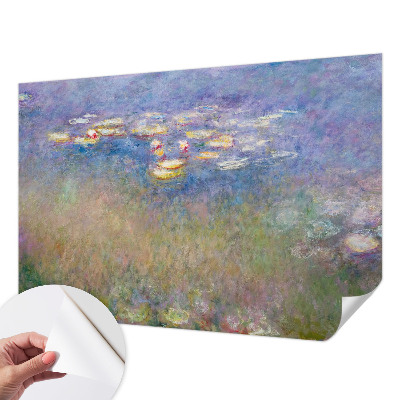 Foto tapeta za dječju sobu Lopoči
