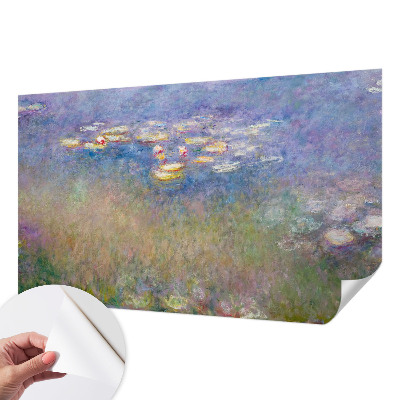Foto tapeta za dječju sobu Lopoči