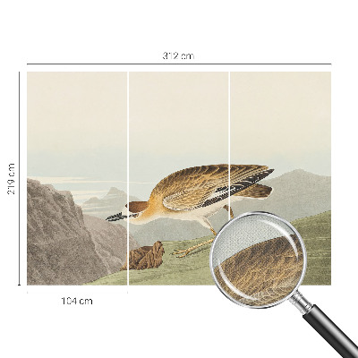 Fototapeta s motivom planinske ptice
