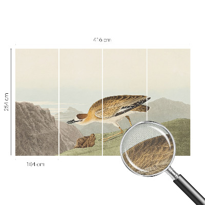 Fototapeta s motivom planinske ptice