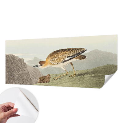 Fototapeta s motivom planinske ptice