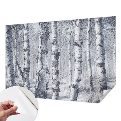 Dječja fototapeta Mrazna priroda