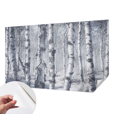 Dječja fototapeta Mrazna priroda