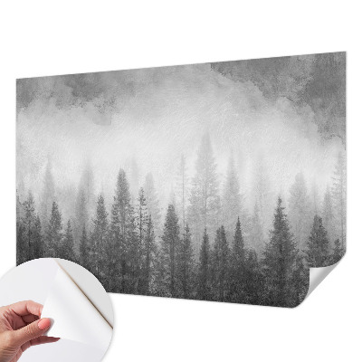 Dječja foto tapeta s motivom šumske magle