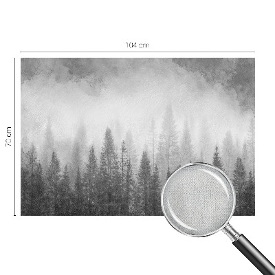 Dječja foto tapeta Šumska magla