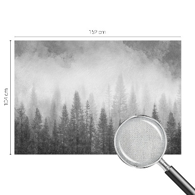 Dječja foto tapeta Šumska magla