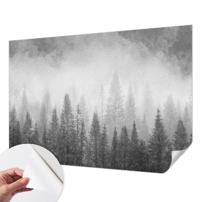 Dječja foto tapeta Šumska magla