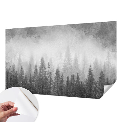 Dječja foto tapeta Šumska magla