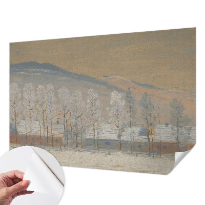 Foto tapeta s motivom zimskog krajolika