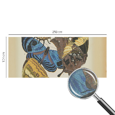 Fototapeta Inspiracija leptirima