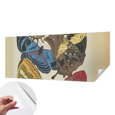 Fototapeta Inspiracija leptirima