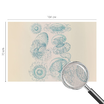Samoljepljiva fototapeta Morska meduza