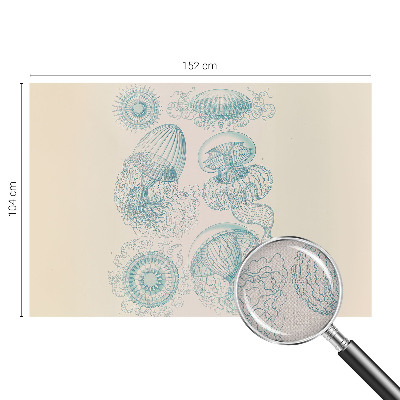 Samoljepljiva fototapeta Morska meduza