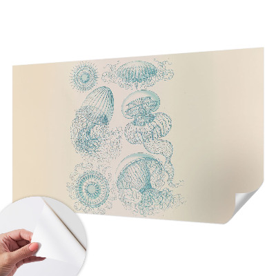 Samoljepljiva fototapeta Morska meduza