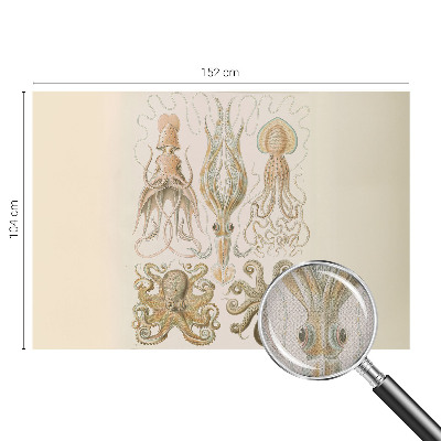 Samoljepljiva fototapeta za dnevni boravak Morski život