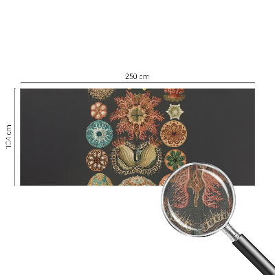 Fototapeta Morske inspiracije