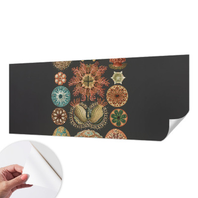 Fototapeta Morske inspiracije