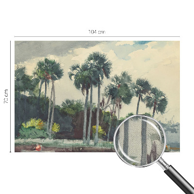 Samoljepljiva fototapeta Egzotične palme