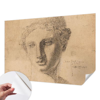 Samoljepljiva foto tapeta Ženski portret